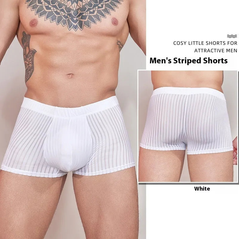 Men's striped nylon underwear with thin transparent fabric and elastic waistband in black, dark grey and white colours