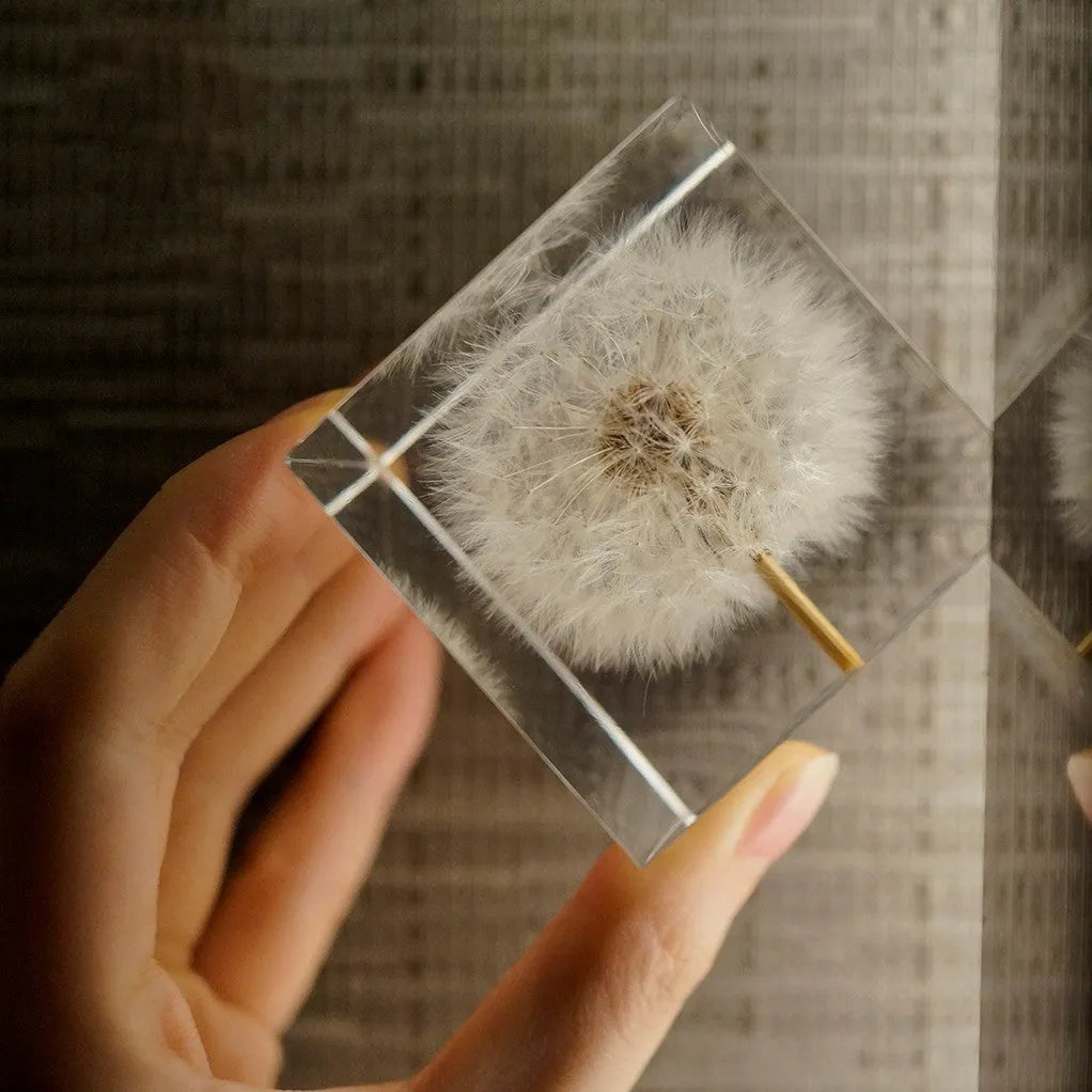 Clear resin cube with preserved dandelion flower, wooden box, and USB charging base