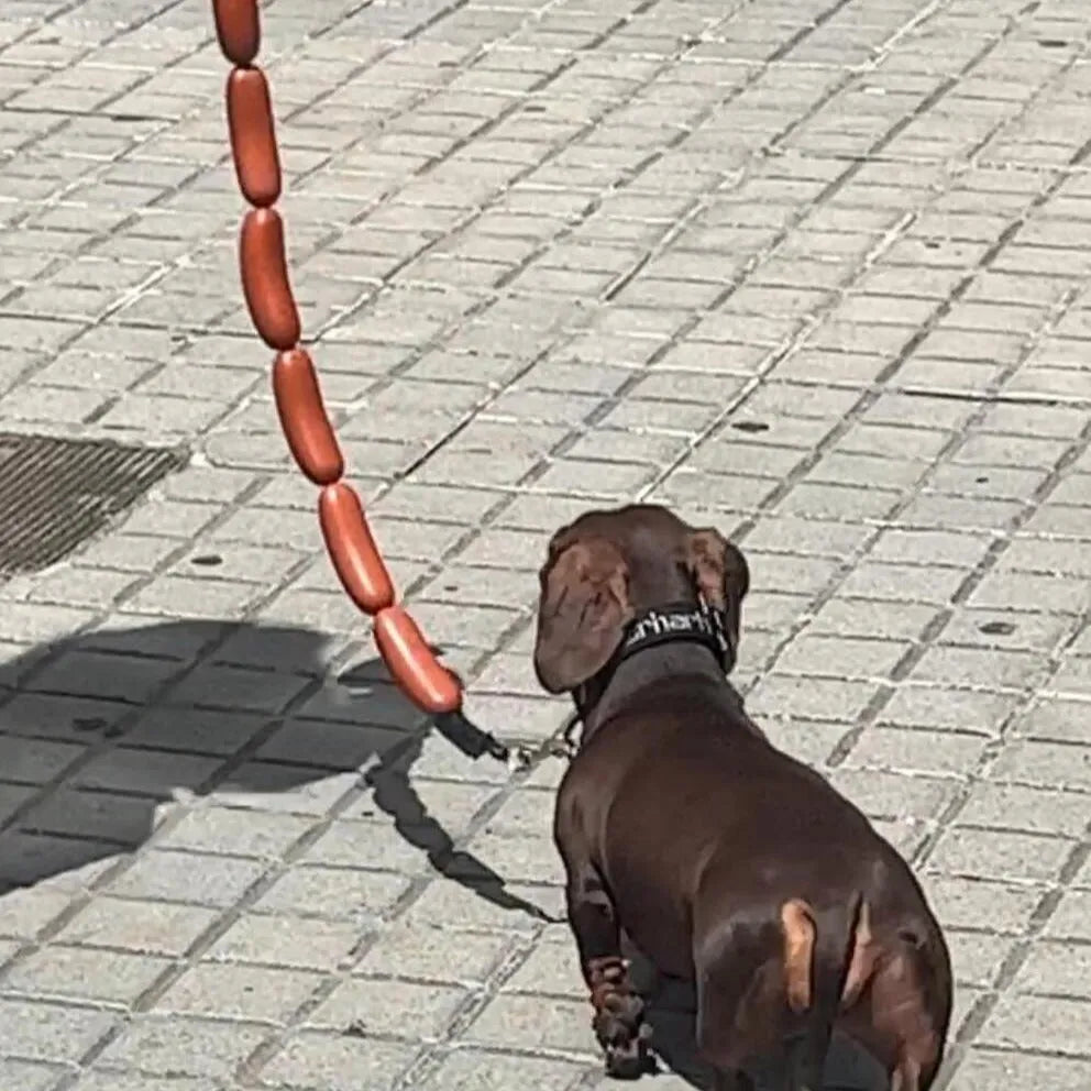 Brown pet hand rope leash with large sausage-shaped chew toys, measuring 108cm total length with grip tape section
