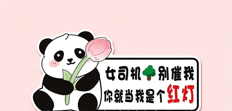Panda design car sticker for female beginner drivers measuring 23cm by 12cm
