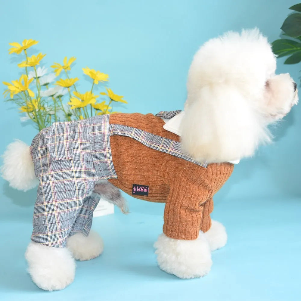 Orange cotton dog shirt shown on small breed pet, demonstrating suit-style pet clothing