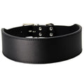 Fish-shaped red leather dog collar for large dogs on a size chart.