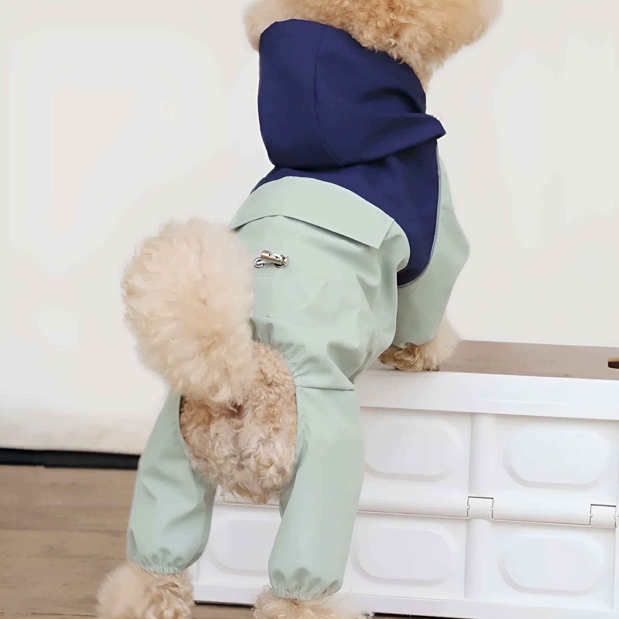 Khaki coloured waterproof dog coat with hood on a small dog, showing full-length front zip.