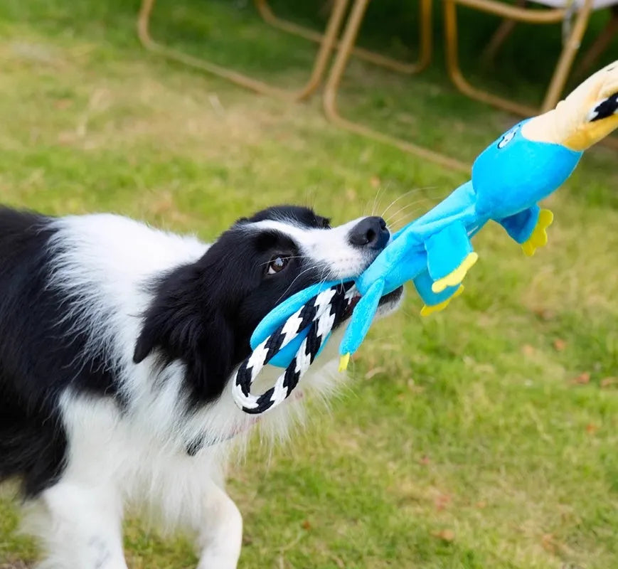 Two cotton string molar sound dog toys in suit colour on a surface