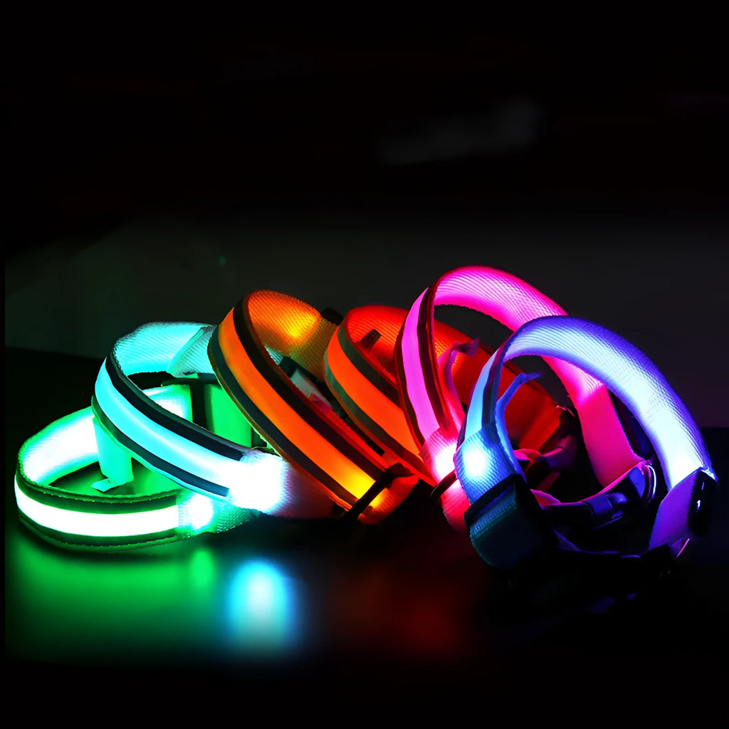 Anti-lost LED luminous dog collar in nylon webbing with LED lights on, available in multiple sizes and colours