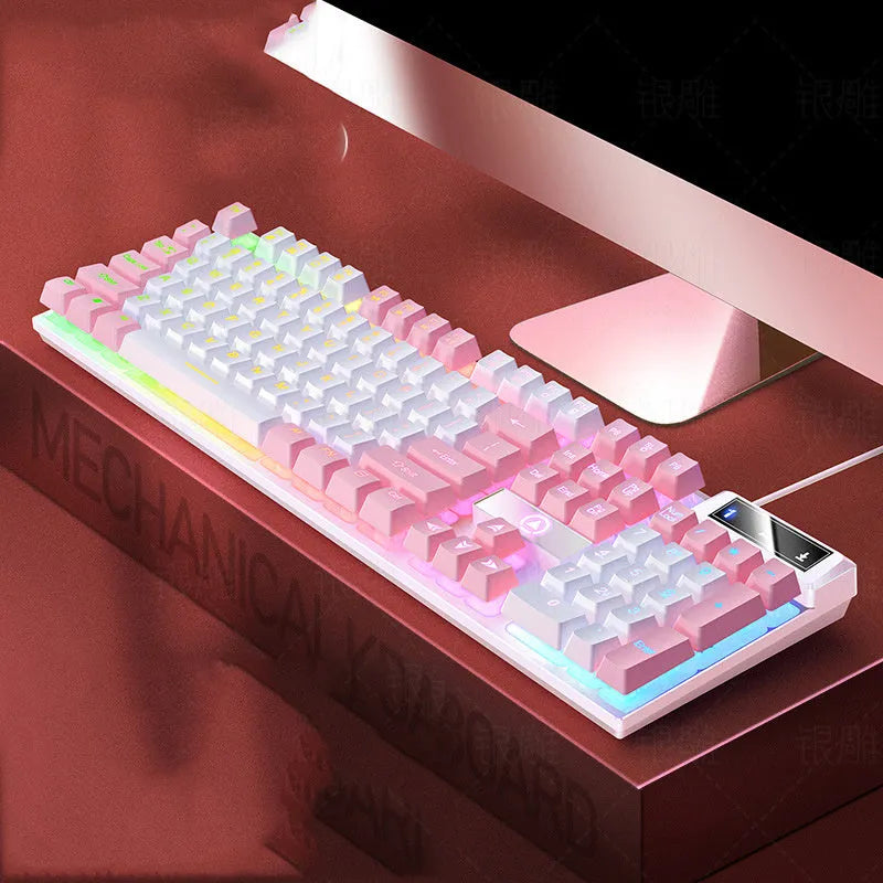 Wired plastic USB keyboard in purple white colour for computer game and office typing