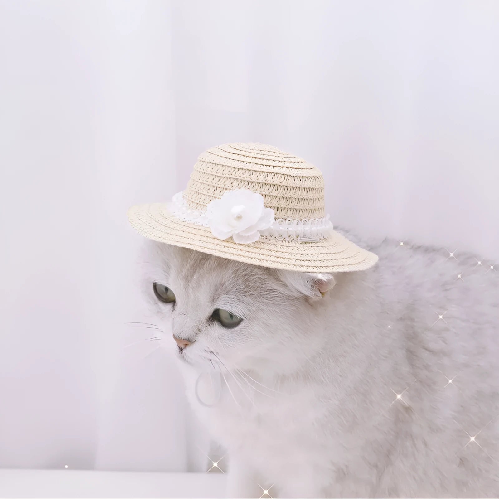 Adjustable handmade paper hat for a dog or cat with a bowknot, shown in multiple colours.