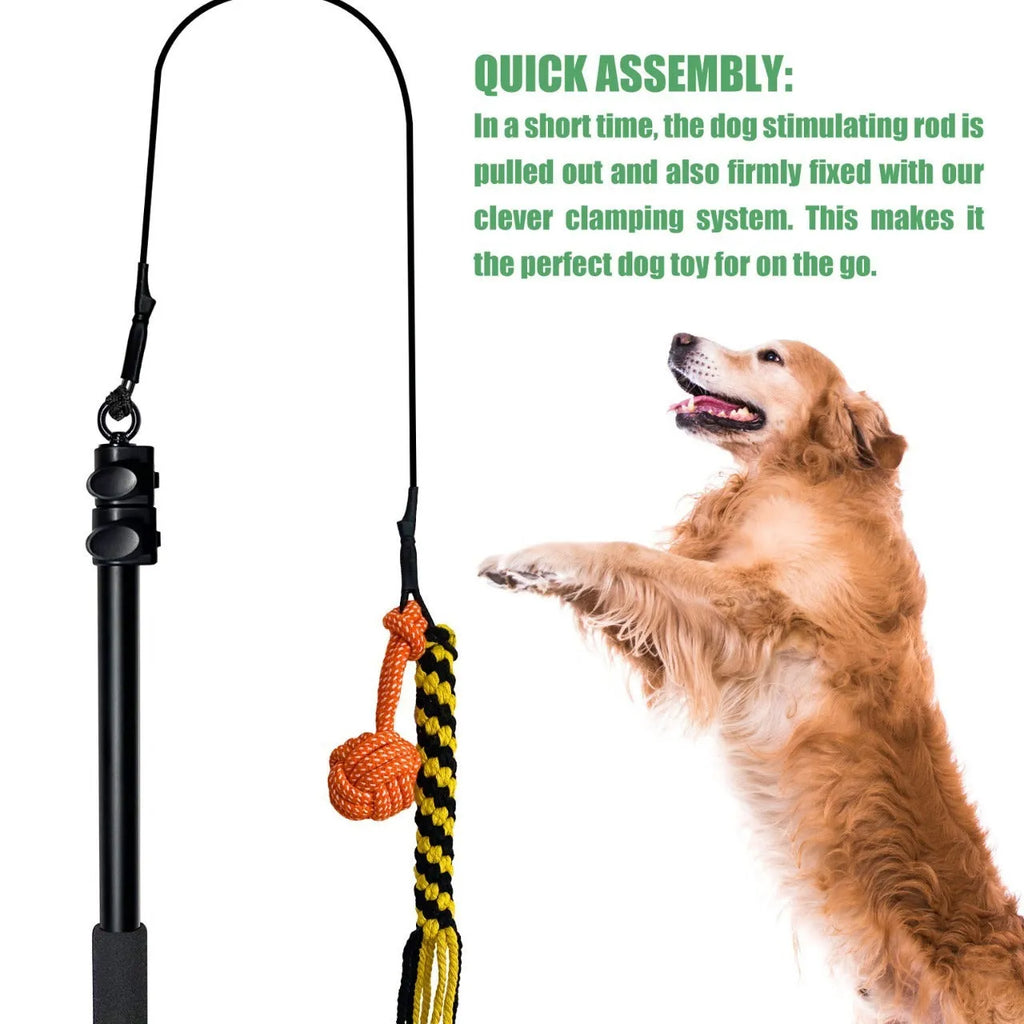 Black telescopic dog teasing rod with aluminium alloy shaft, two bite ropes and one ball, 102cm length