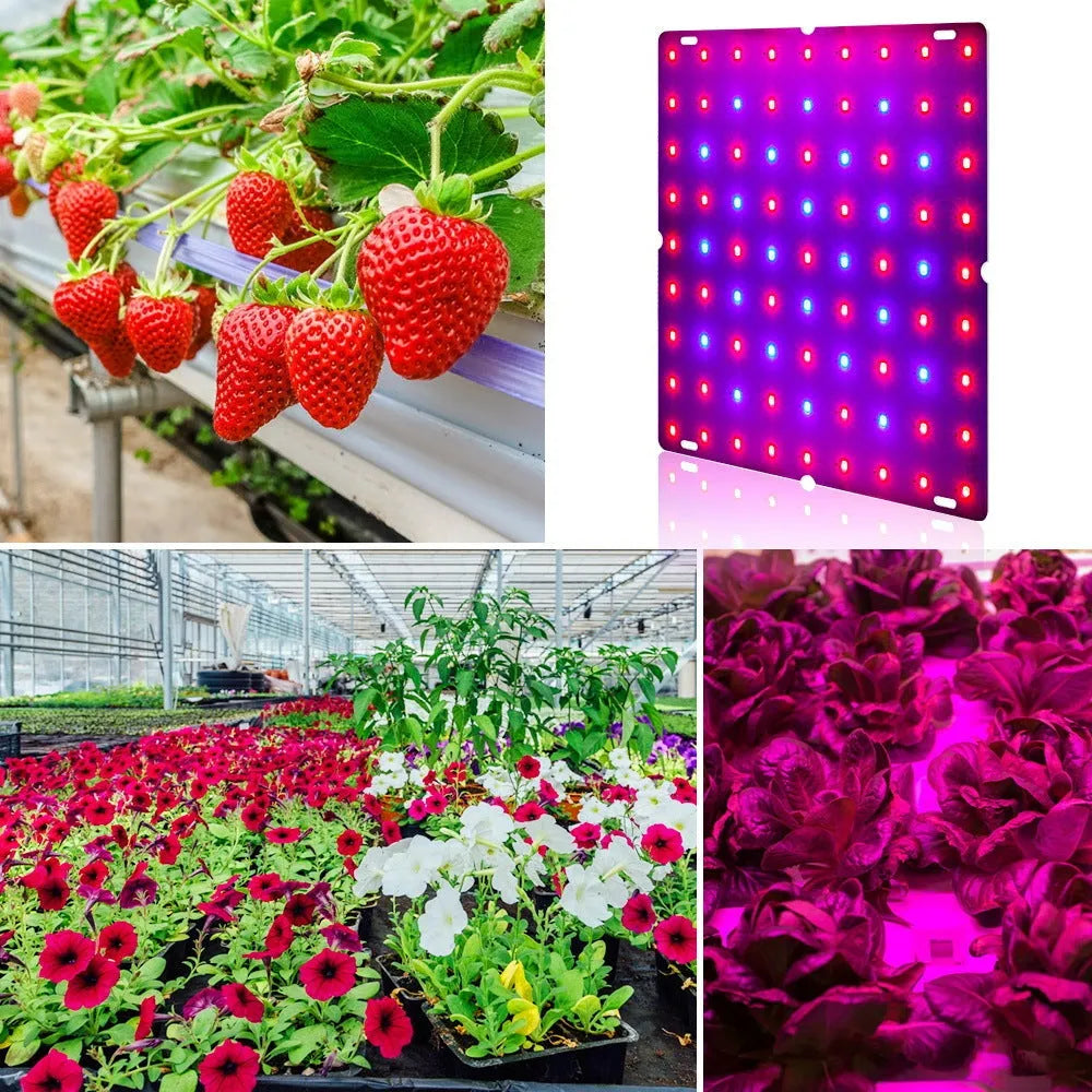 Silver aluminium LED plant growth light with hook for mounting above indoor vegetable plants.