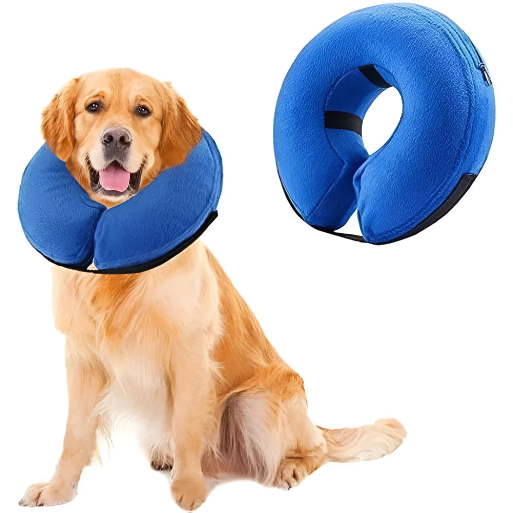 Blue inflatable recovery collar for a dog, showing soft cone alternative to plastic surgical collars.