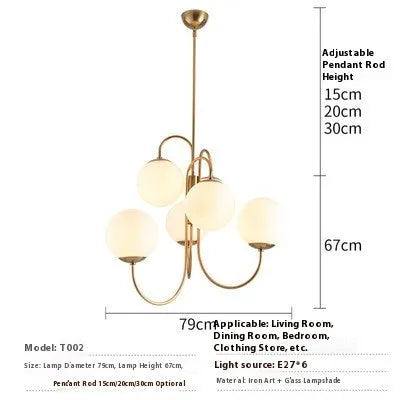 Modern iron droplight with black finish and warm light, size 790x680mm, for living room or restaurant use