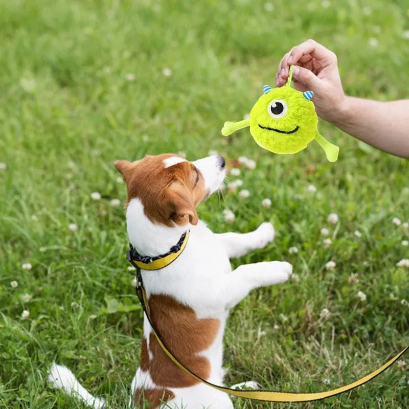 Green plush dog chew ball with TPR flexible interior, 12cm diameter with squeaker sound