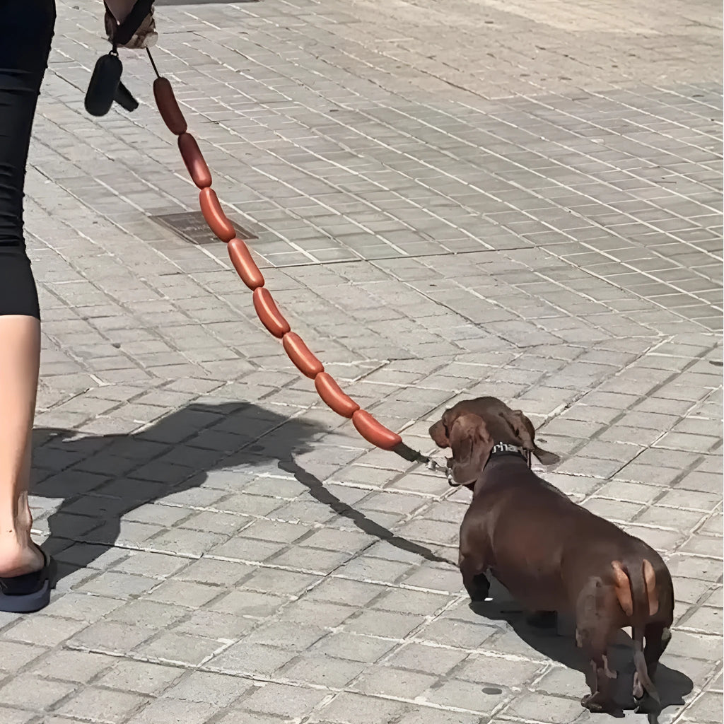 Brown pet hand rope leash with large sausage-shaped chew toys, measuring 108cm total length with grip tape section