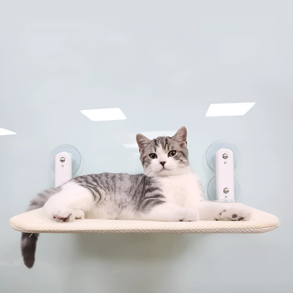 A cat hammock with a stainless steel frame and suction cups attached to a window, showing a beige mesh seat cushion.