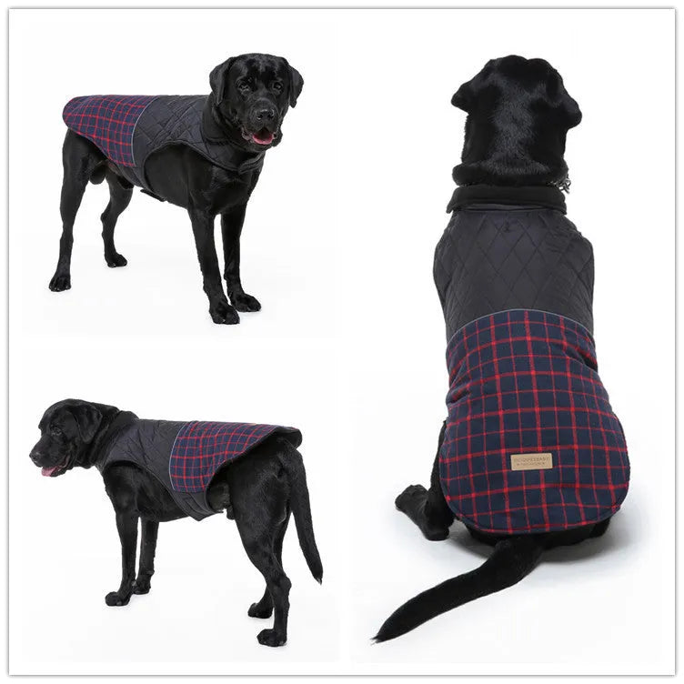 Reflective dog jacket in blue-green on white background with breathable mesh chest panel and alloy fasteners