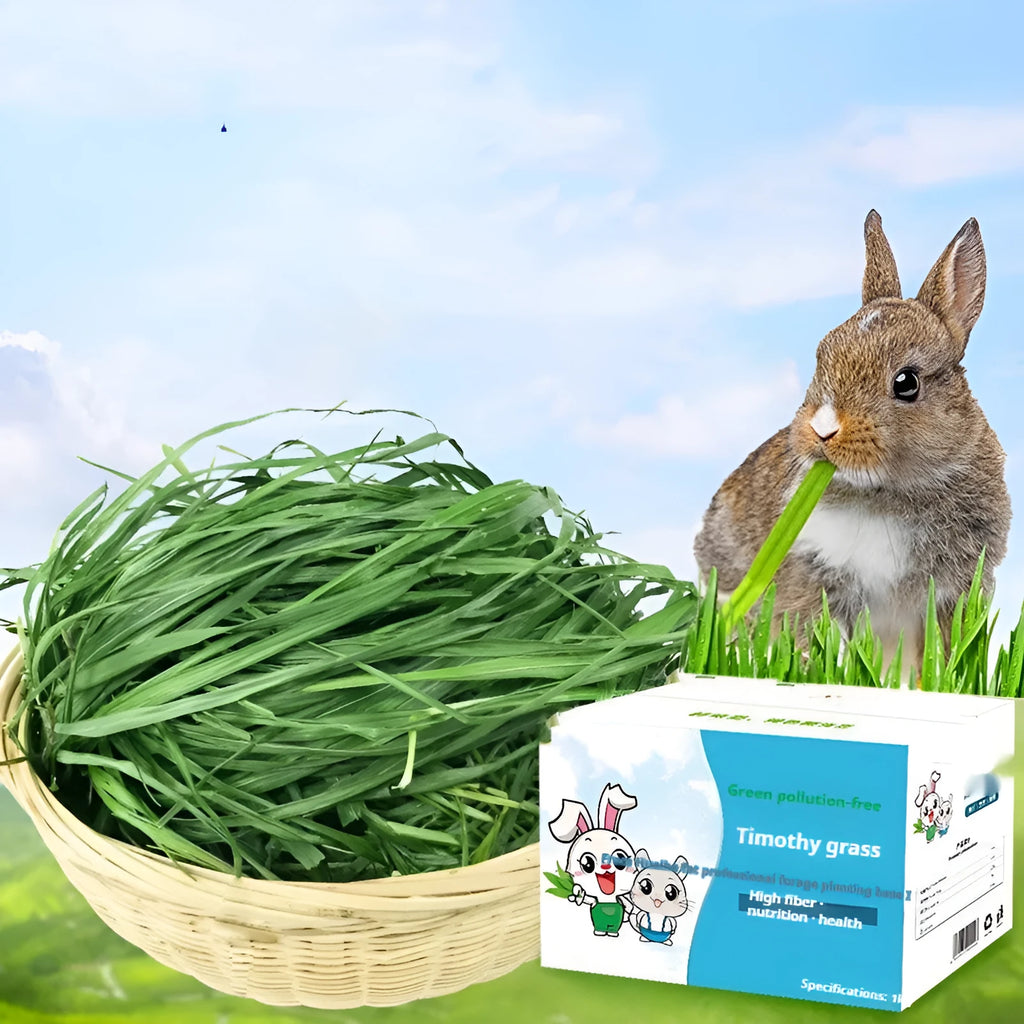 Dried Timothy grass 1kg gross 680g net pack for rabbits chinchillas and guinea pigs