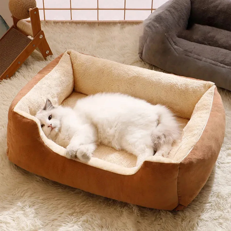 Short plush rectangular cat bed in five sizes from 45x30cm to 80x60cm and five colours