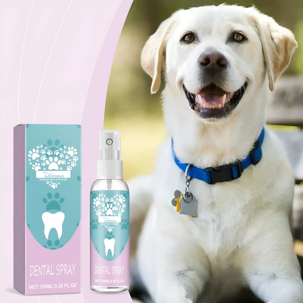 Pet teeth spray 100ml bottle for cleaning dog and cat mouth