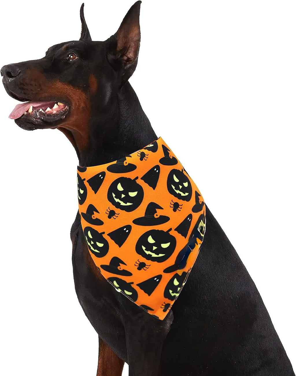 Black and orange reversible Halloween dog bandana with pumpkin and spider web patterns, showing adjustable neck strap