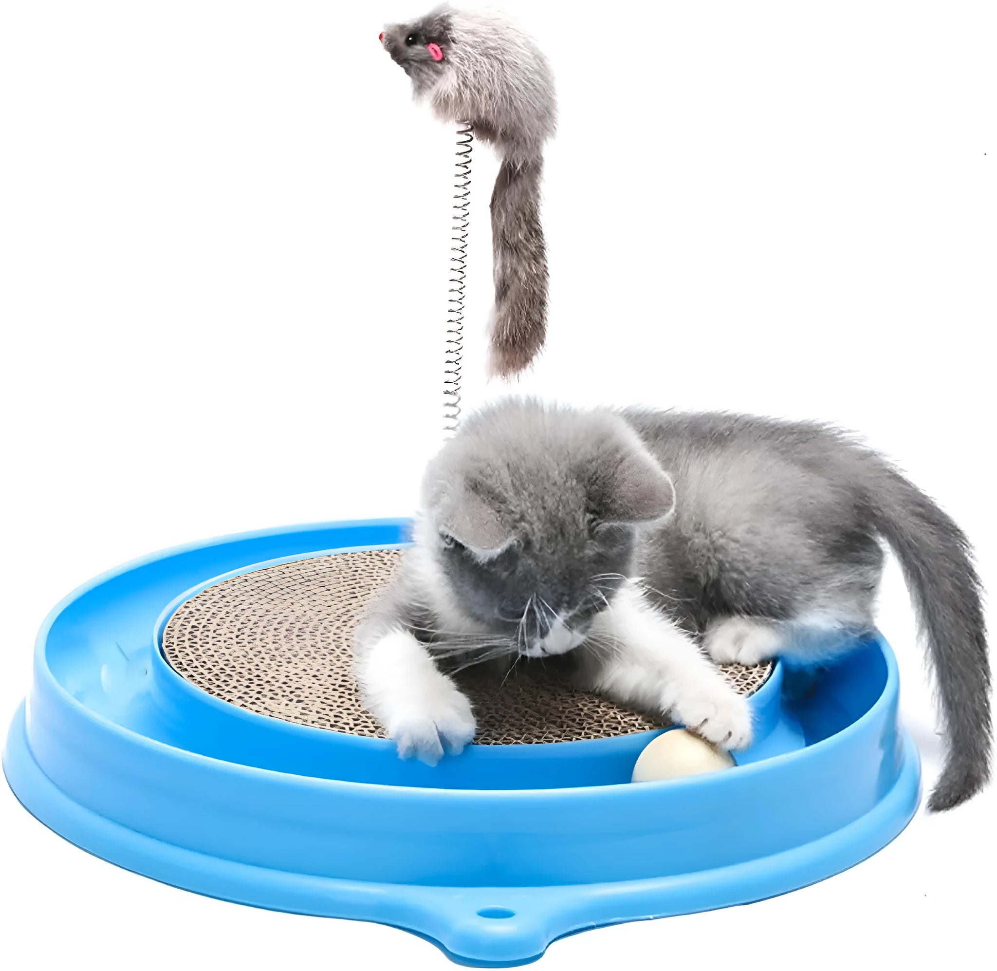 Blue interactive cat scratcher toy with ball track and replaceable cardboard scratching surface
