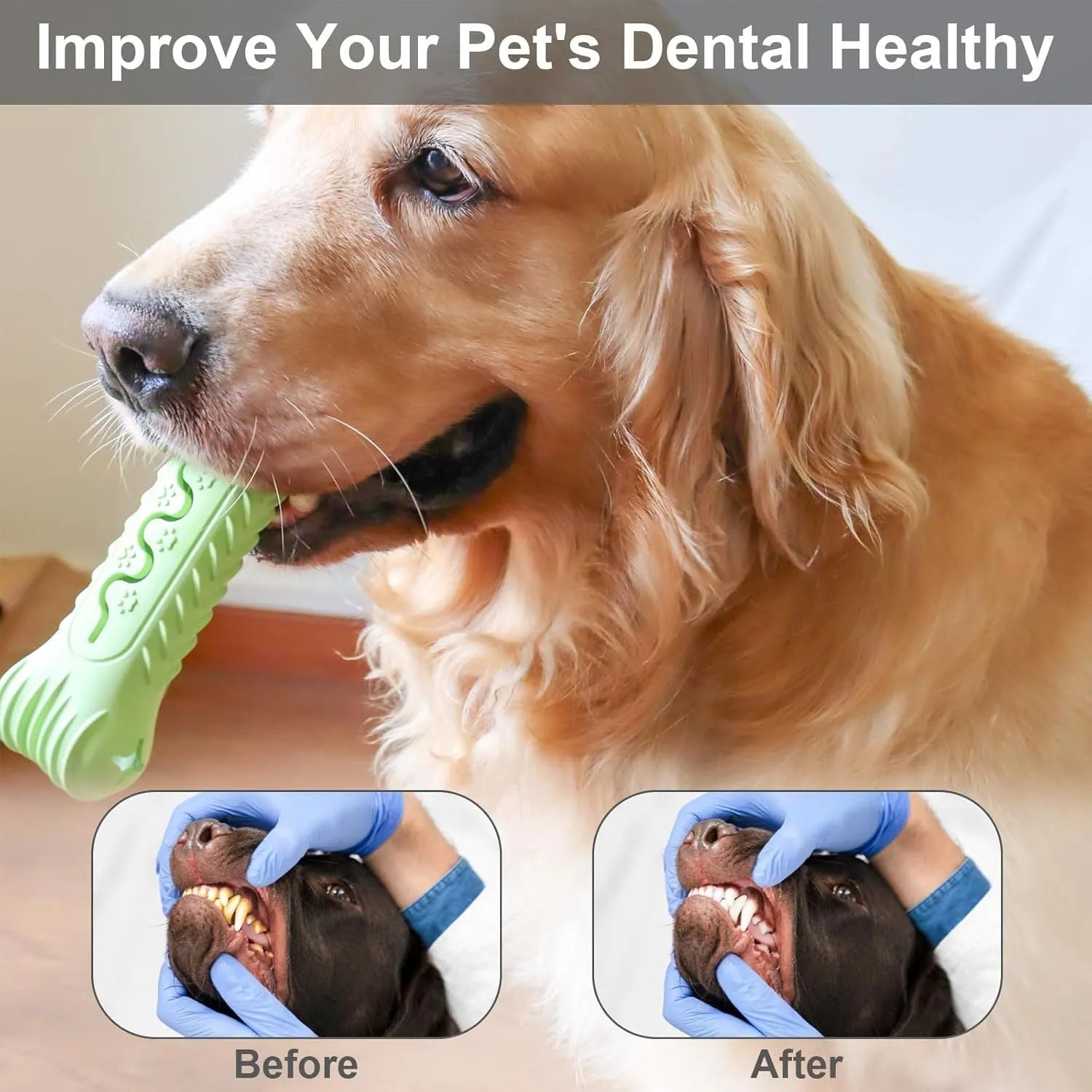 Blue, green, and orange bone-shaped natural rubber dog chew toy on a white background.