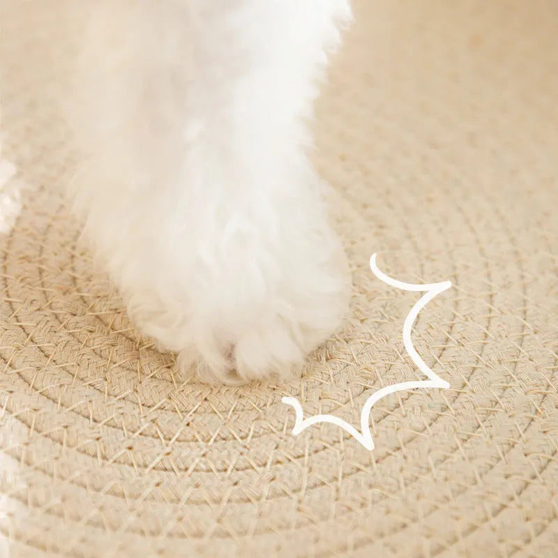 Green oval-shaped cat scratching pad serving as a bed with a sisal surface