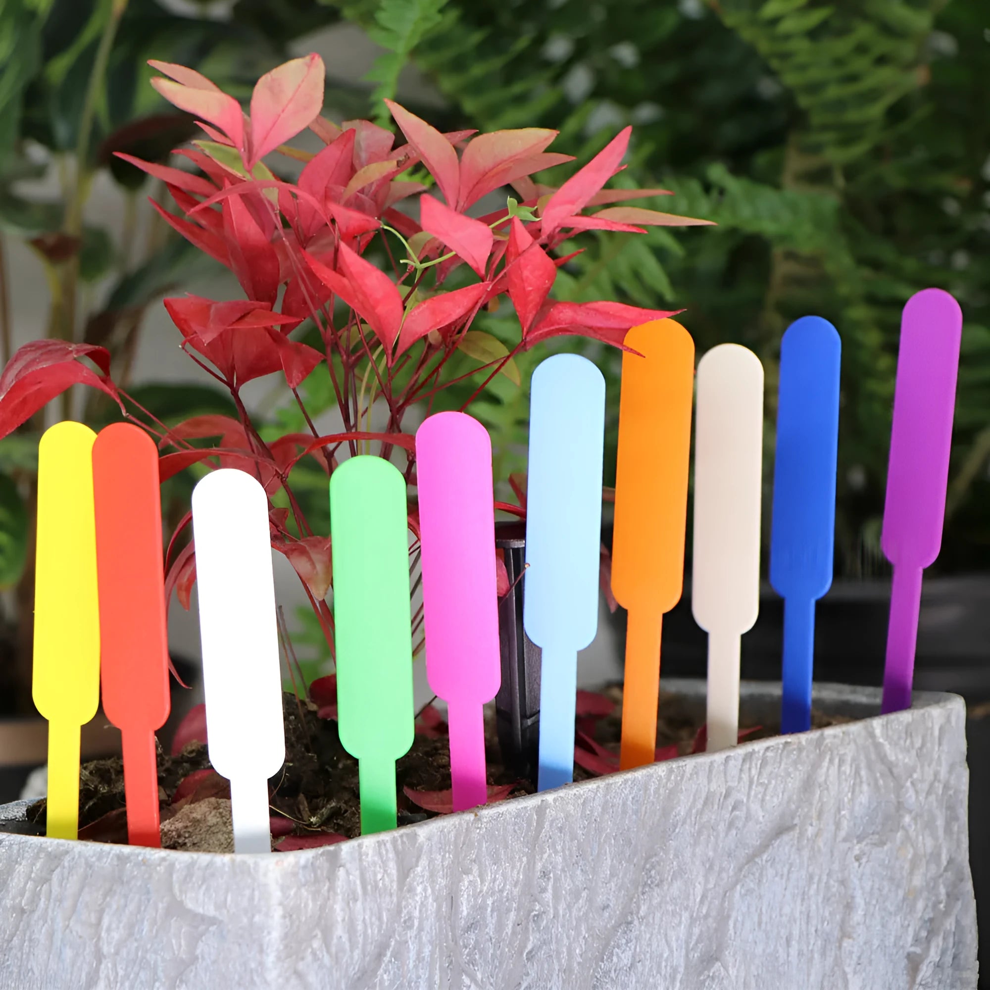 Horticultural Succulents waterproof sunscreen garden pot label 100PCS PP material 12 x 1.5 cm in various colours