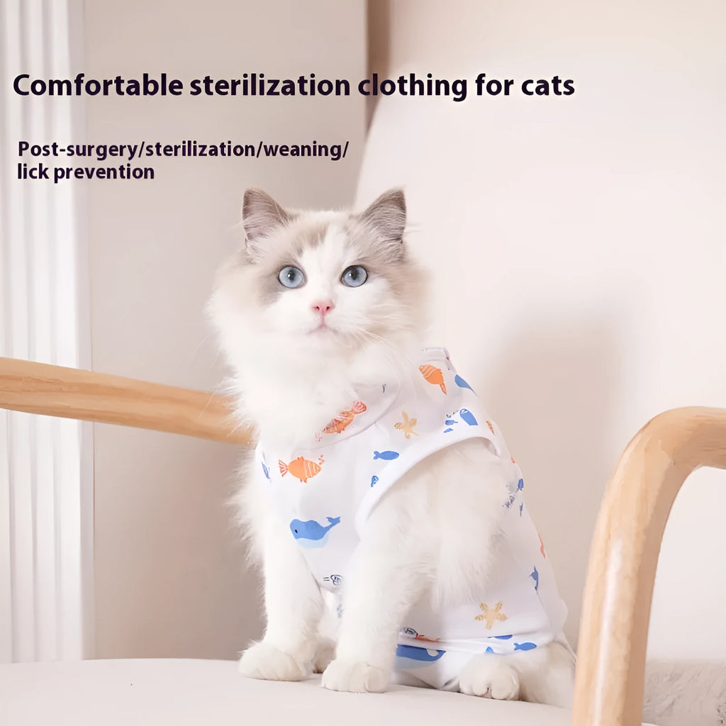 Cat wearing a printed post-operative sterilisation suit with Velcro fastenings.
