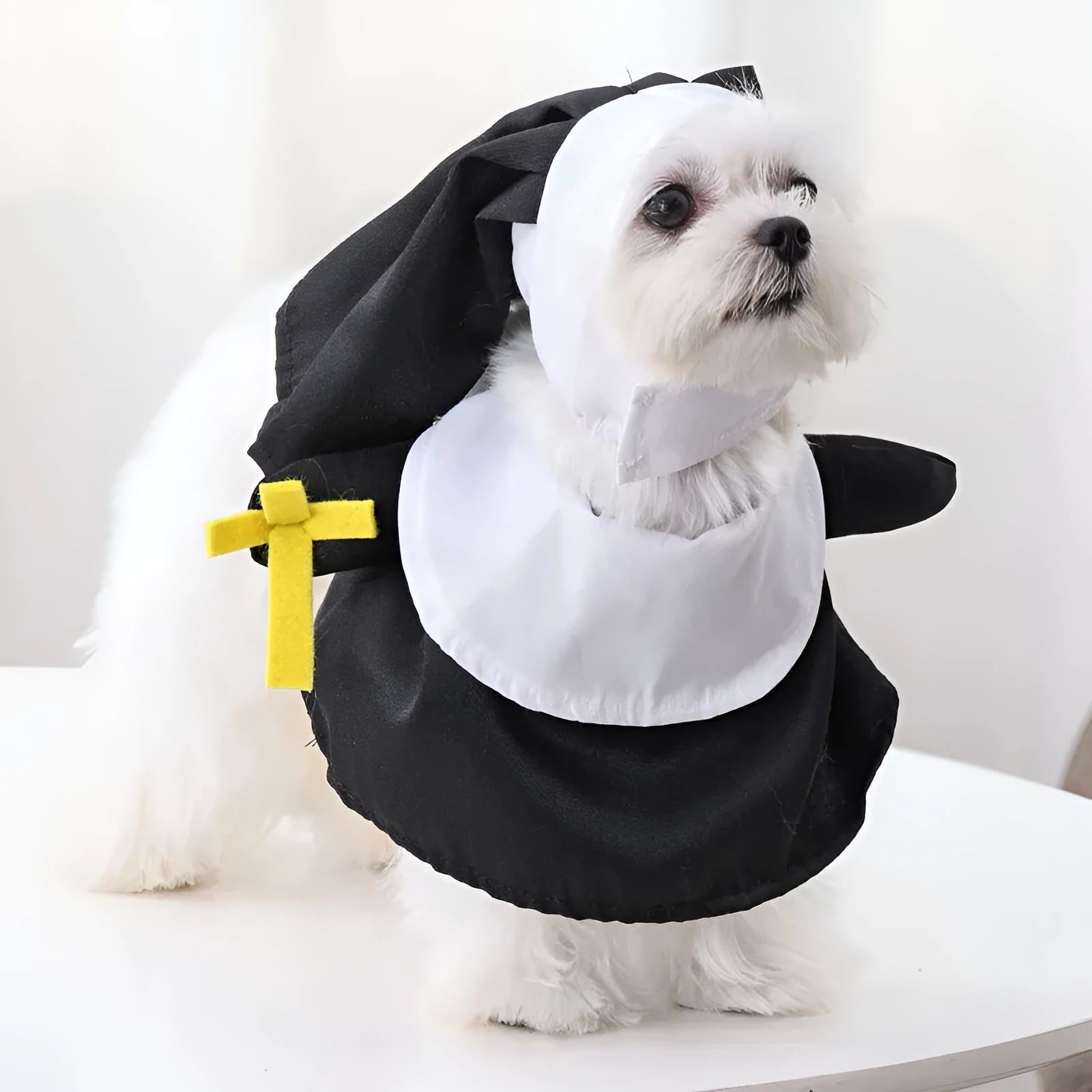 Black polyester nun costume for cats and dogs, free size, for Halloween holiday dress-up