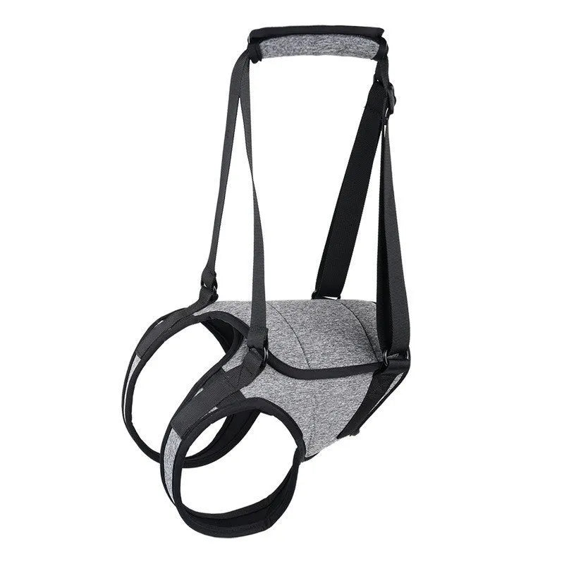 Grey neoprene dog recovery belt for rear leg injury support with sizing chart