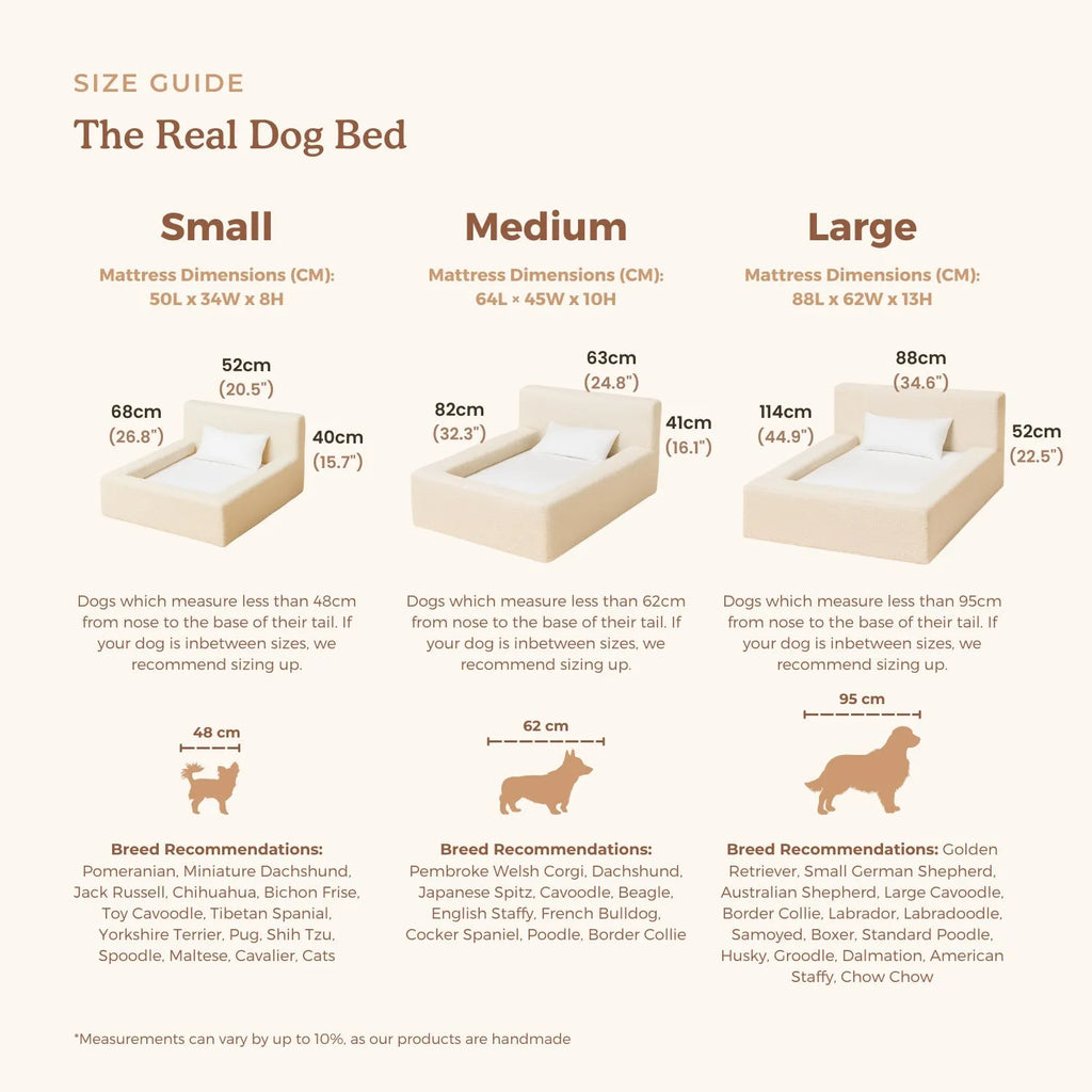 White rectangular dog mat with backrest and sponge filling in L size on a floor
