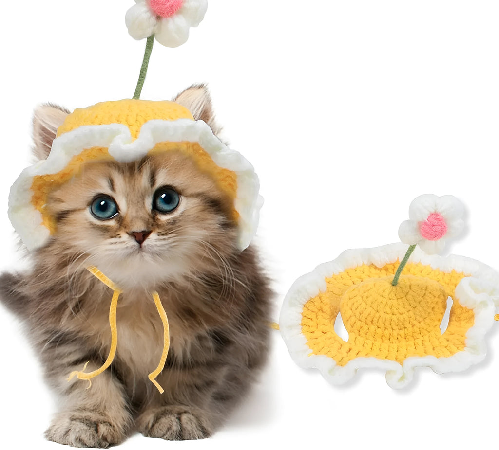 Green knitted cartoon cat hat on a pet mannequin head showing soft fabric and costume design.