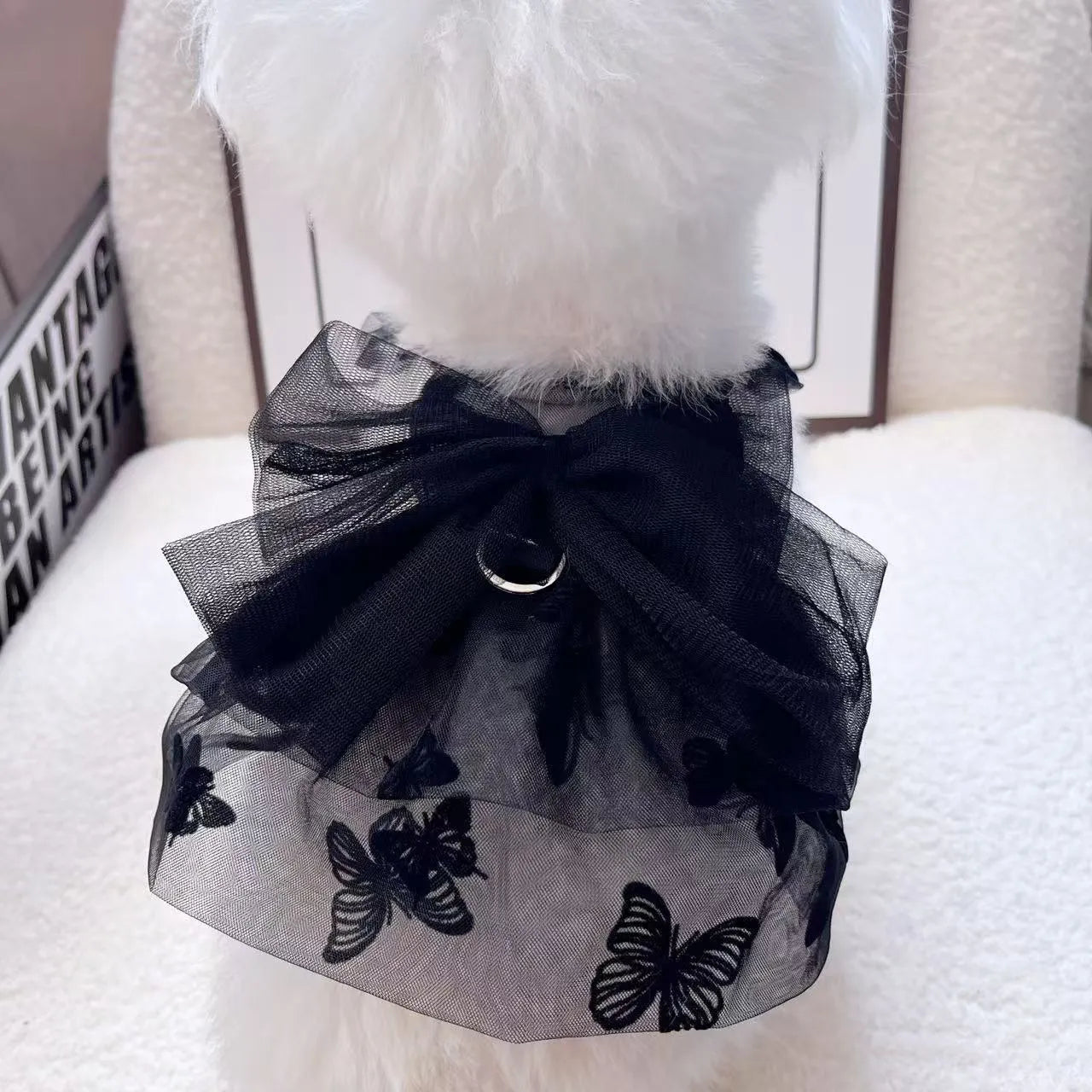 Black tiered tulle princess skirt on a small dog, showing the gauze layers and fit.