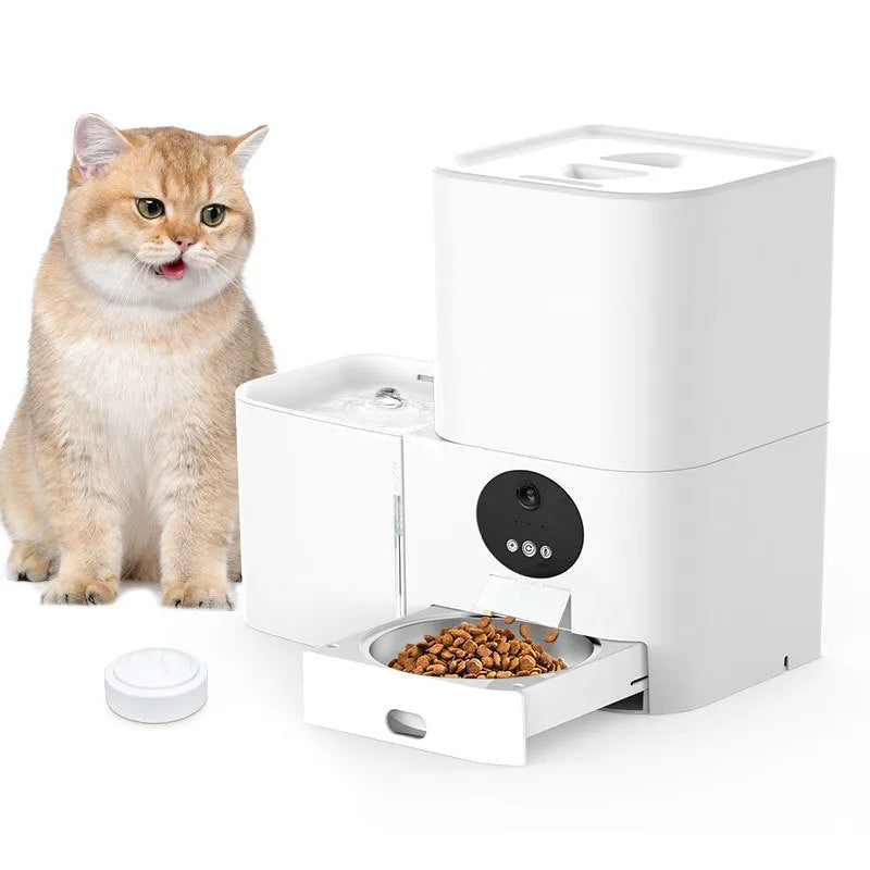Smart WiFi two-in-one electric pet feeder in white with food and water compartments