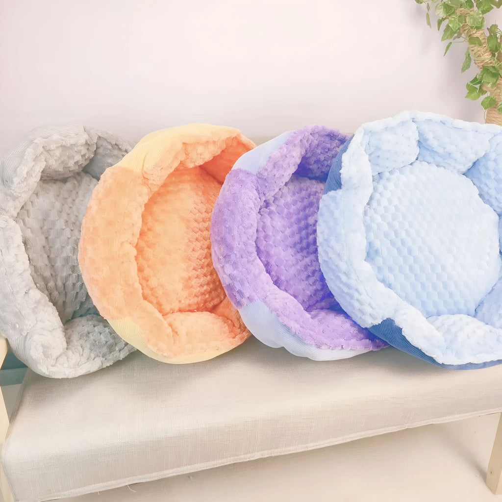 Multi-colour thermal cat bed 50cm diameter cloth nest in macaron colours with a cat inside