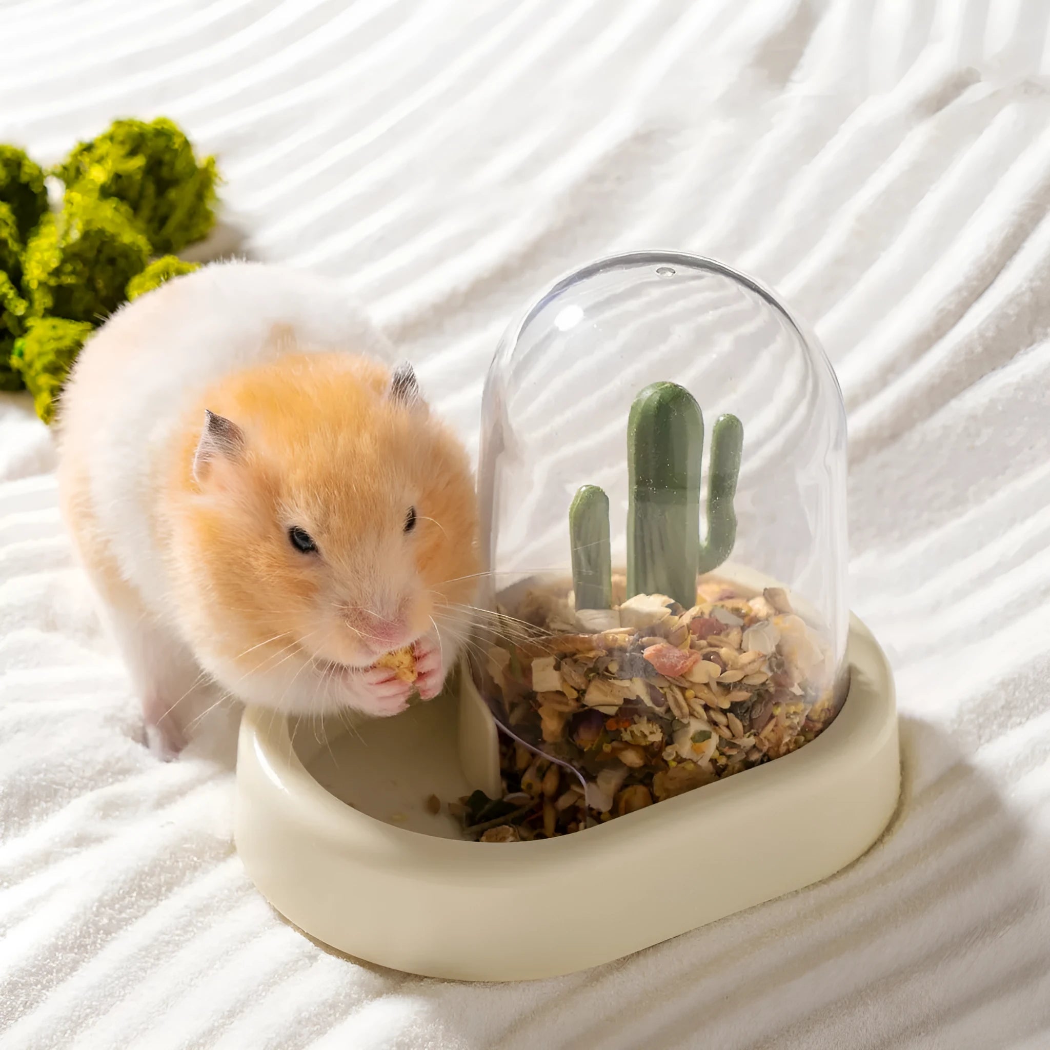 Cactus-shaped hamster automatic feeder with transparent food level section in mint green colour