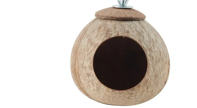 Reptile swing set with brown coconut shell nest and artificial vine for tree lizards
