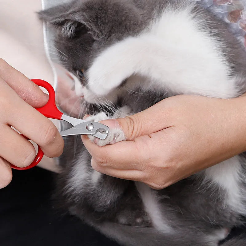 Professional pet nail clippers with stainless steel blades and coloured rubber grip handle