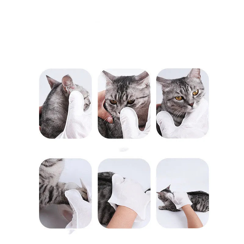 Disposable pet cleaning glove with gentle formula for cats and dogs, individually wrapped