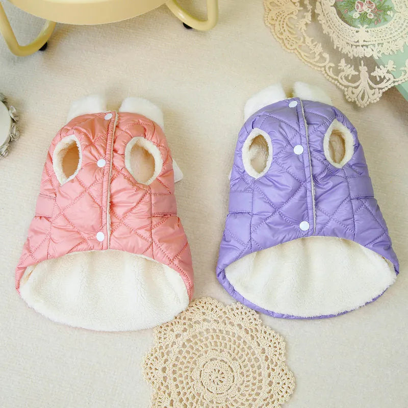 Small dog wearing pink thickened cotton skirt with casual angel-style design
