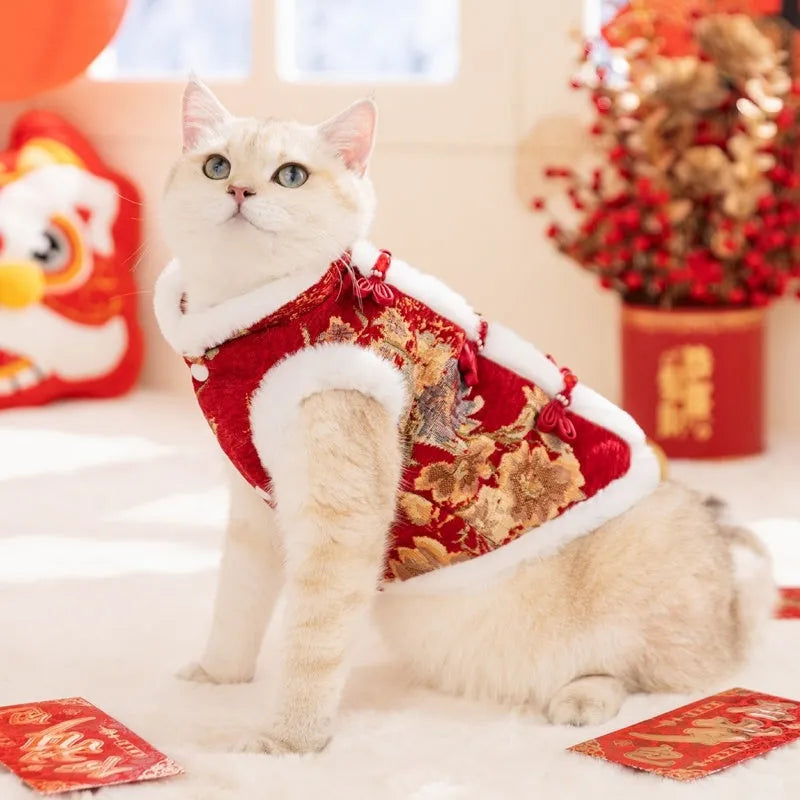 Pet Chinese New Year Tang suit coat with frog knot closure, brocade fabric, and fluffy fur trim on a small dog