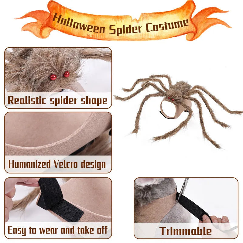 Grey polyester pet costume with a large black spider design for Halloween, shown on a dog.