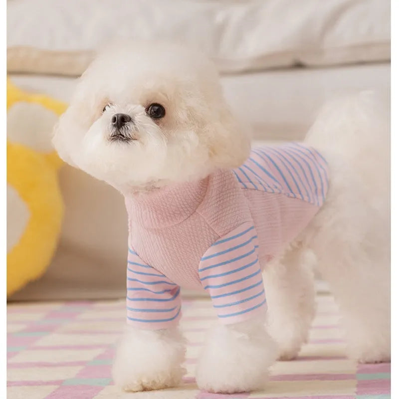 Cute striped dog shirt with metal belt loop, green and blue-green stripes, on a small dog