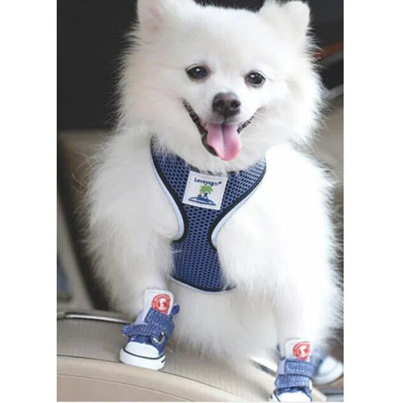 Small dog poodle shoes in blue or black canvas, anti-slip anti-dirty, sizes 1 to 5, pack of 4
