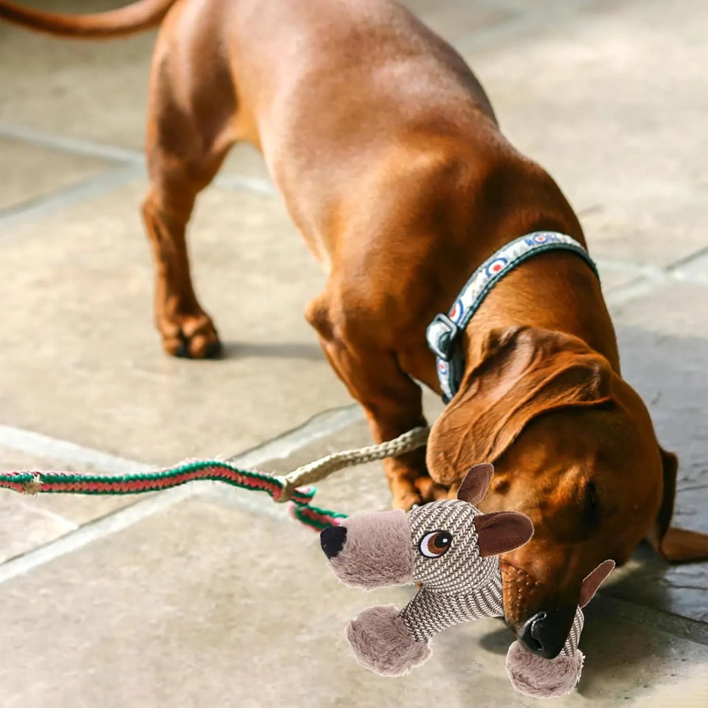 Soft plush dog squeaky toy in monkey and puppy designs for medium and large breed dogs.