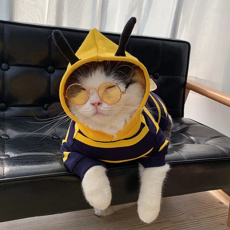 Bee pet hoodie plush winter coat in yellow striped bee transfiguration, sizes XS to XXXL