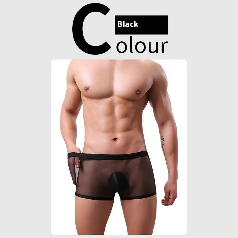 Men's mesh boxer briefs in multiple colours showing thin sheer breathable summer underwear construction