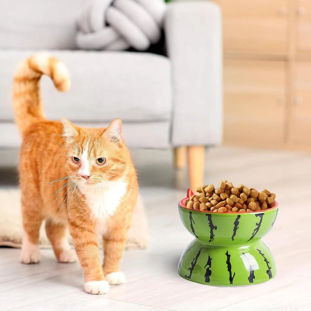 Ceramic elevated cat bowl with tilted wide dish in orange pattern for reduced vomiting feeding