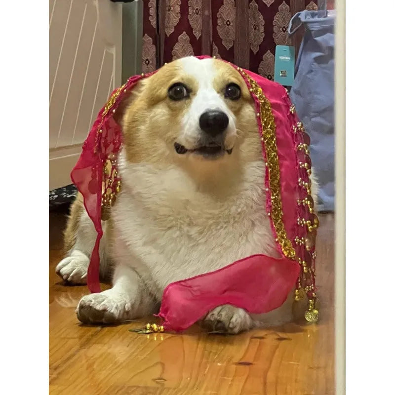 Corgi belly dance hip scarf with sequined waist chain in rose red, red, yellow, purple, sapphire blue and lake blue