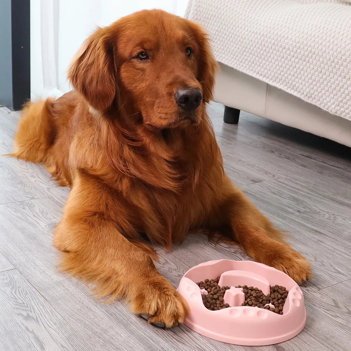 Ceramic slow feeder dog bowl with moon star wings design in blue colour
